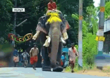 Elephant Parade GIF - Elephant Parade Road GIFs