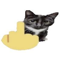 Middle Finger Cat Sticker - Middle Finger Cat Cat Meme Stickers
