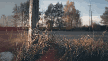Aesthetic Grass GIF - Aesthetic Grass Road GIFs