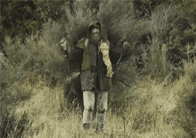 Hide Bush GIF - Hide Bush Hunt For The Wilderpeople GIFs