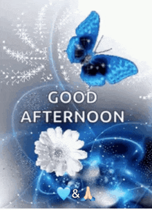 a picture of a blue butterfly with the words good afternoon on it