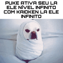 a picture of a dog wrapped in a blanket with a caption that says puke ativa seu la ele nivel infinito
