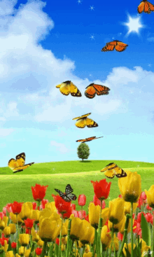 Tulips Buttrefly GIF - Tulips Buttrefly Spring GIFs