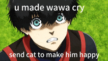 a picture of a boy with blue eyes and the words " u made wawa cry send cat to make him happy "