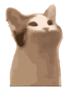 stare_cat - Discord Emoji