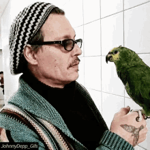 Parrot Bird GIF - Parrot Bird Johnny Depp GIFs