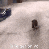 Julie Get On Vc Bear GIF - Julie Get On Vc Julie Bear GIFs