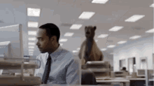 Humpday Camel GIF - Humpday Camel Hump GIFs