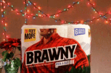 brawny lumberjack paper towel brand santa