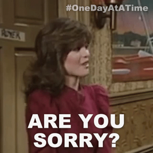 Memes About Being Sorry GIFs | Tenor