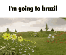 Brazil Youre Going To Brazil GIF - Brazil Youre Going To Brazil To Brazil GIFs