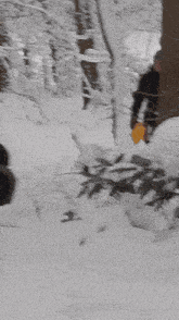 a person is sledding down a snow covered hill