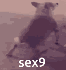 Sex9 Sexy9 GIF - Sex9 Sexy9 Sexnine GIFs