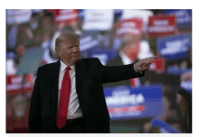 Trump Pointing GIF - Trump Pointing GIFs