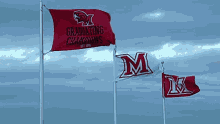 Miami Redhawks Miami University GIF
