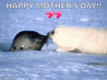 a happy mother 's day greeting card with two seals kissing