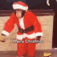 Merry Christmas Monkey GIF