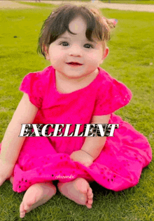 a baby girl in a pink dress is sitting on the grass with the word excellent above her