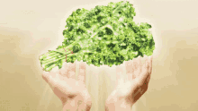 Holy Kale GIF - Holy Kale Kale Super Food GIFs