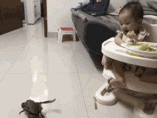 a baby sitting in a high chair with a plate of food and a crab on the floor