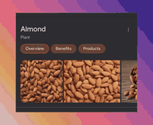 almond almond cutest almond qtest
