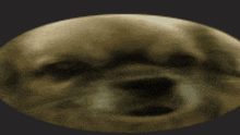 a close up of a dog 's face in a circle with a black background .