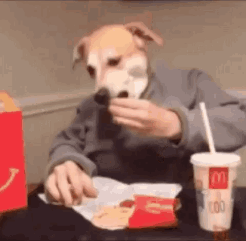Dog Eating Mcdonalds GIFs | Tenor