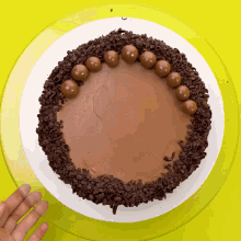 a chocolate cake with maltesers and chocolate chips on top