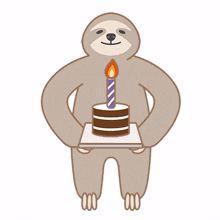 sloth animal cute birthday celebrate