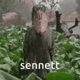 Sennett Shoebill GIF - Sennett Shoebill GIFs