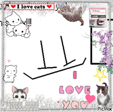 a collage of cats and flowers with the words " i love cat " at the top