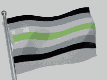 Agender Pride Flag GIF - Agender Pride Flag Waving Flag GIFs