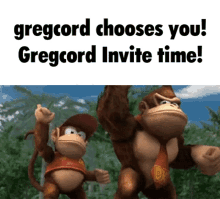Cord Gregcord GIF - Cord Gregcord Donkey GIFs