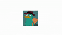 perry the platypus phineas and ferb secret agent platypus cube
