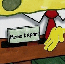 a cartoon character is holding a sign that says `` meme expert '' .