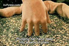 plunging her hand deepinto a sack of grain amelie hindi kulfy