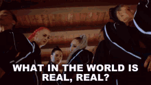What In The World Is Real Real Cl GIF - What In The World Is Real Real Cl Chuck Song GIFs