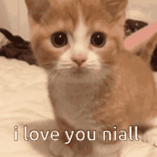 Niall I Love You GIF - Niall I Love You I Love Niall GIFs