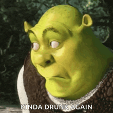 shrek says kinda drunk again in front of a forest background
