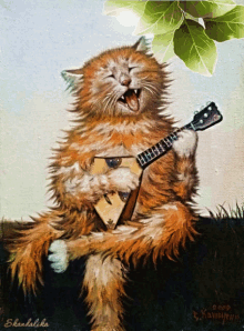 tuesday cat playing guitar playing guitar