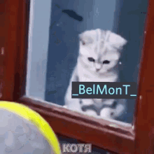 Belmont GIF - Belmont GIFs
