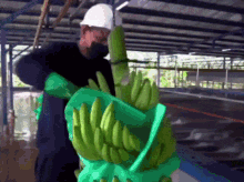 a man wearing a hard hat and gloves holds a bunch of green bananas