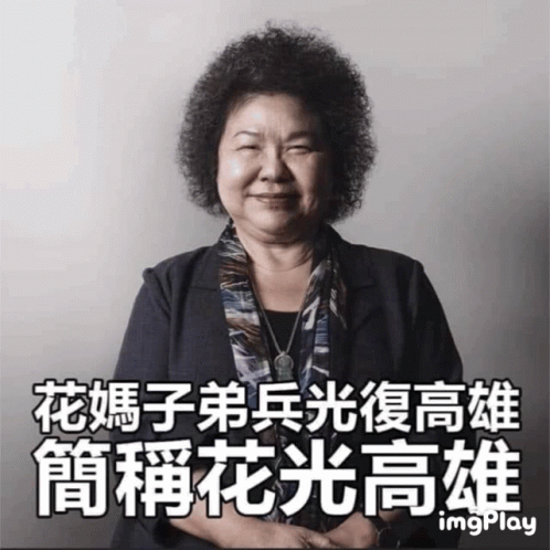 蔡英文Tsai Ing Wen GIF - 蔡英文Tsai Ing Wen Politician - Discover & Share GIFs