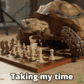 Animal Chess GIF - Animal Chess Chesscom GIFs