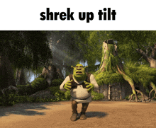 Shrek Up Tilt GIF - Shrek Up Tilt GIFs