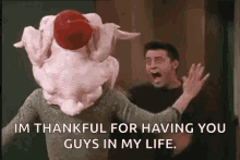 Thanksgiving Turkey GIF - Thanksgiving Turkey Friends GIFs