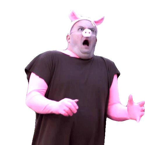 Shocked Pig Sticker - Shocked Pig Nate Morse Stickers