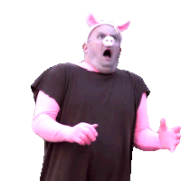 Shocked Pig Sticker - Shocked Pig Nate Morse Stickers