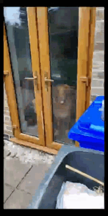 a dog looking out of a glass door next to a trash can