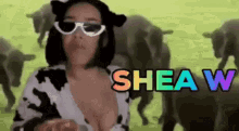 Shea Shea W GIF - Shea Shea W Shéa GIFs